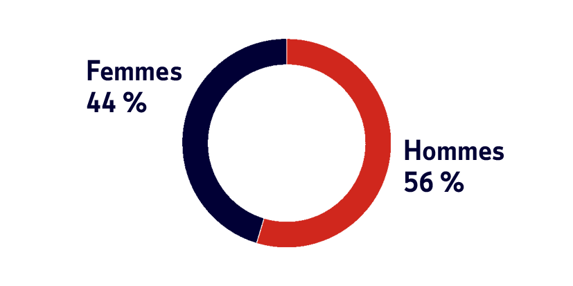 Indicateur Loi Rixain