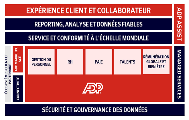 Experience client et collaborateur