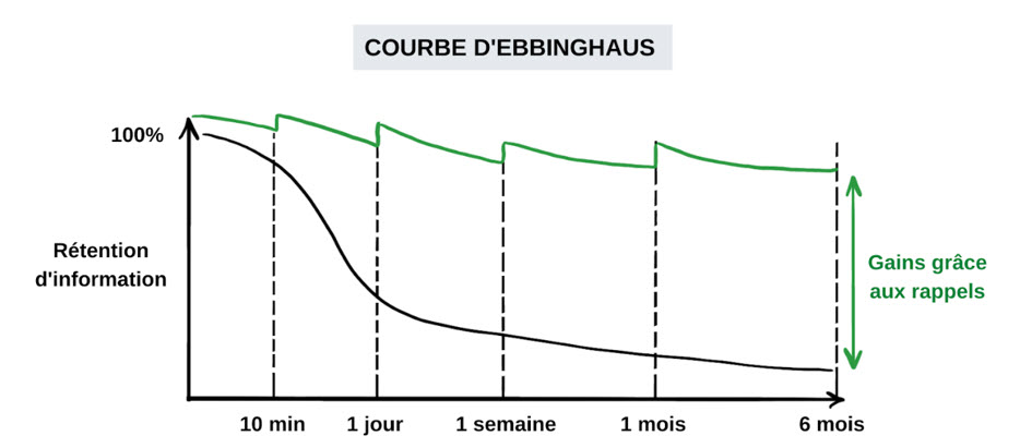 La courbe d'Ebbinghaus