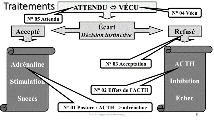 Stress : le vécu