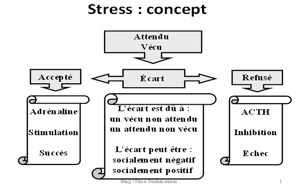 Le concept du stress
